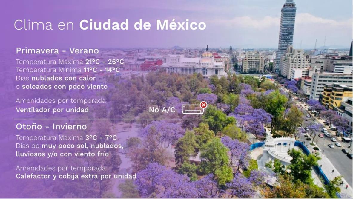 Luxurious 3 Bedroom 2 Ba In Chic Polanco District Ciudad de México Exteriér fotografie